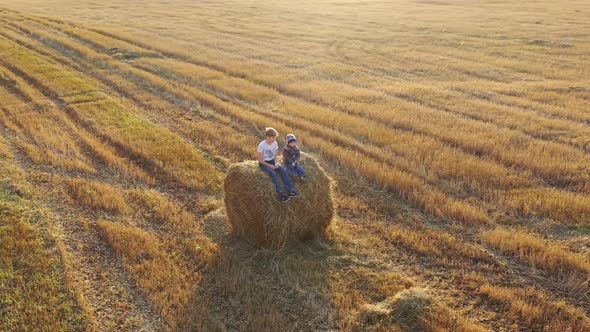 The Kids Sit on the Haystack