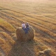 The Kids Sit on the Haystack - VideoHive Item for Sale