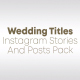 Wedding Titles for Social Media - VideoHive Item for Sale