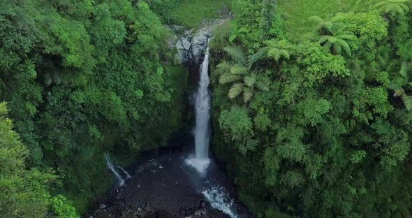 Sliding drone shot of idyllic waterfall in jungle with trees and grass in the morning - Kedung Kayan