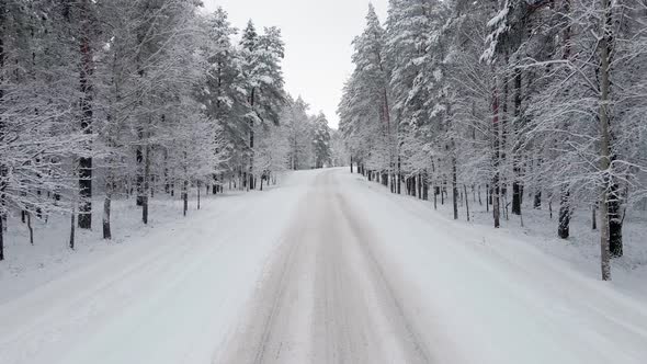 The Camera Moves Forward Along a Snowy Road in Beautiful Winter Forest