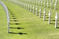The white crosses of the war cemetery in Florence - PhotoDune Item for Sale