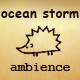 Ocean Storm