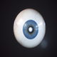 Human Eyeball Realistic - 3DOcean Item for Sale