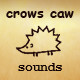 Crows Cawing - AudioJungle Item for Sale