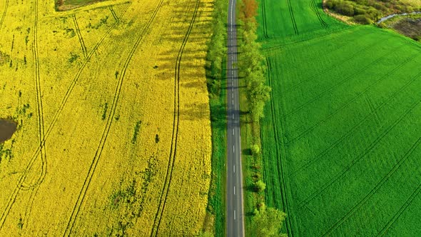 Yellow and green rape fields, view from above
