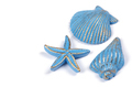 Blue Shells, starfish - PhotoDune Item for Sale