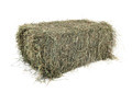 hay bale in studio - PhotoDune Item for Sale