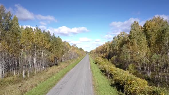 Close Flight To Empty Road Stretching Among Birch Forests