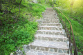 Stone steps in beautiful spring forest - PhotoDune Item for Sale