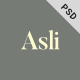 Asli – Creative Portfolio PSD Template - ThemeForest Item for Sale