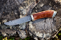 Hunting knife damascus steel on a forest background close-up - PhotoDune Item for Sale