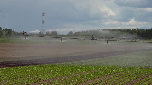 Irrigation System on Agricultural Land