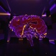 Plexus Brain 01 - VideoHive Item for Sale