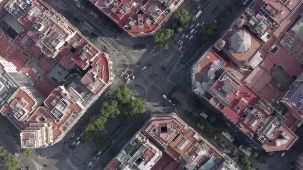 City Streets and Rooftops of Barcelona in the Summer Bird's Eye View