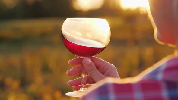 Hand with a Glass of Wine Against the Background of a Grape Field and Sunset