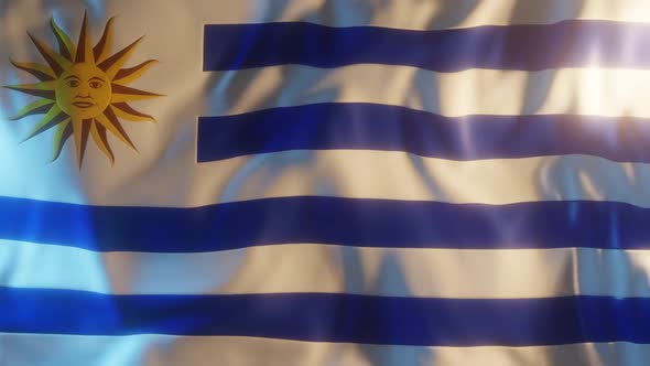 Uruguay Flag with Edge Bump