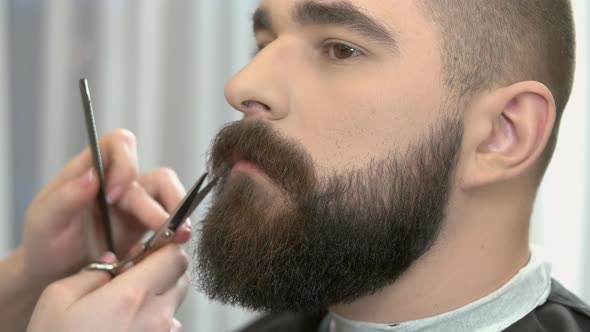 Hands Trimming Beard