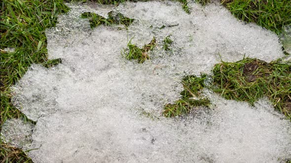 Snow is Melting Fast on Fresh Green Grass in Spring