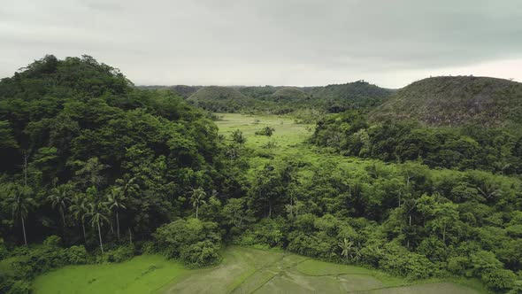 Philippines Jungle Chocolate Hills Aerial View on Bohol Island