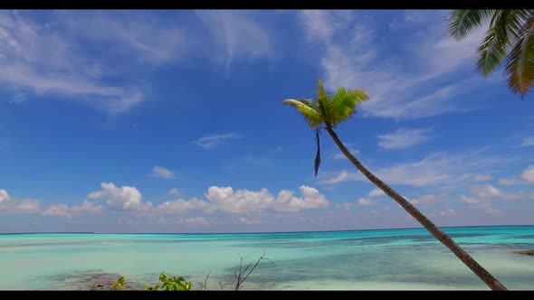 Aerial landscape of paradise bay beach wildlife by blue green lagoon with white sand background of a