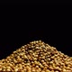 Concept 36-K1 A Pile of Coriander - VideoHive Item for Sale