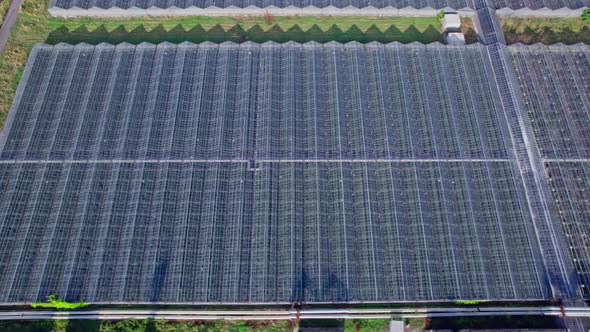 View From Above on Greenhouses for Growing Vegetables and Fruits