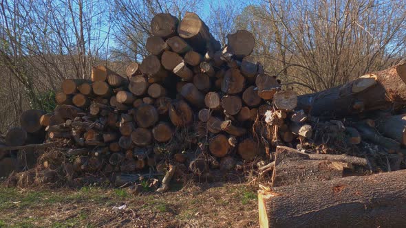 Stack of folded chopped wood lies in forest. Sideways view