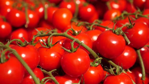 Closeup Of Red Cherry Tomatoes