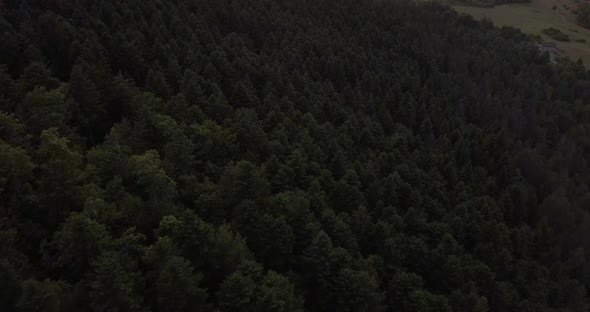 AERIAL: Forest mountain in Croatia