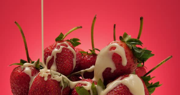 Ripe strawberries with sweetened condensed milk on red background.