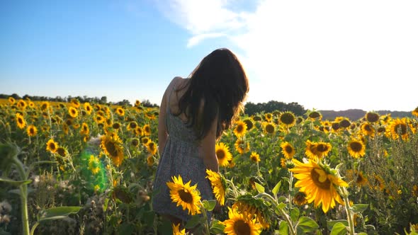 Attractive Woman Wave Her Head Playing Hair in Air with Beautiful Sunflowers Field at Background