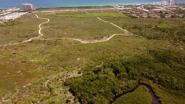 Aerial Video Juno Dunes Natural Area 4k Jupiter Beach Fl