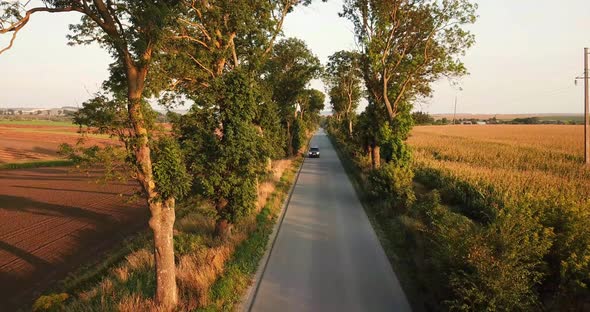 A Beautiful SUV Rides on an Asphalt Road at Sunset