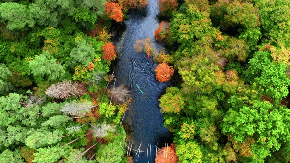 Top down view of of Kayaking on river in autumn