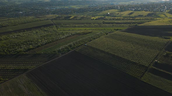 Aerial Top View of an Agriculture Field Wheat in Countryside on a Spring Day