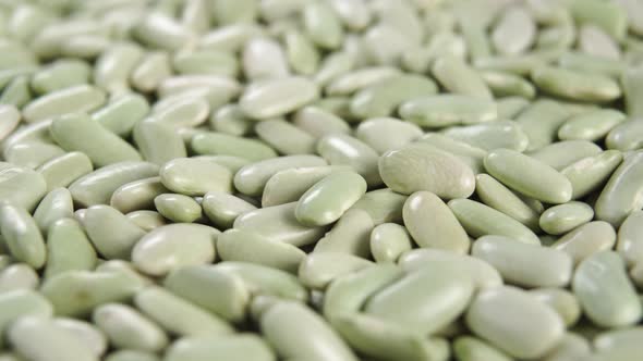 Green verdina beans close up. Dry uncooked organic legumes