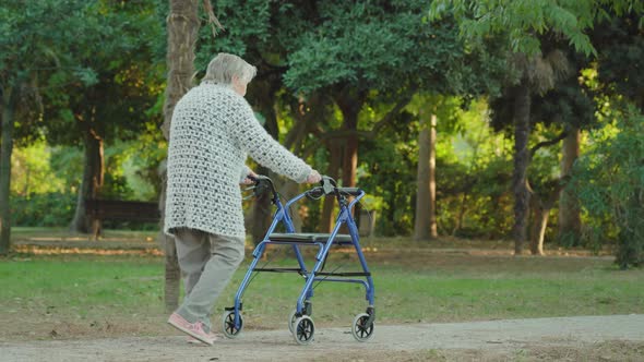 Greyhaired Woman Walks Along Park Road with Wheelchair