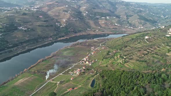 Aerial View of Terraced Vineyards in Douro Valley