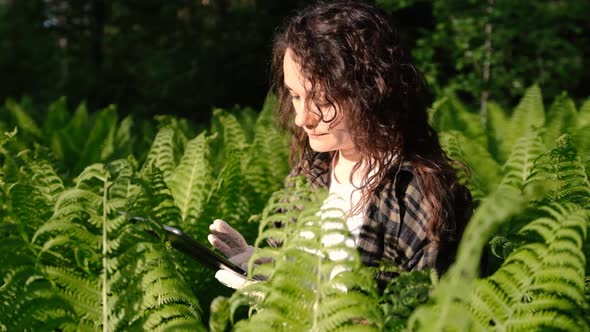 A Biologist Examines the Plants in the Forest and Writes the Data to a Tablet