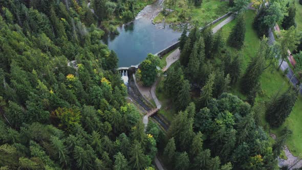Top View From a Drone on a Nature Reserve with a Lake Among a Spruce Forest