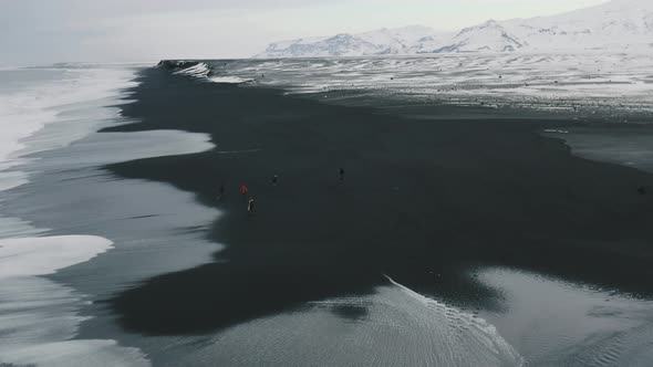 Aerial Drone View of Company of Friends Walking on Volcanic Black Sand Beach in Iceland and Having