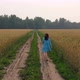 A Young Girl in a Dress Walks Along a Wheat Field - VideoHive Item for Sale