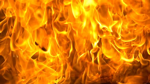 Huge Golden Flames Rising alt