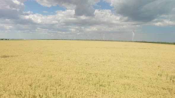 Modern Wind Turbines Generating Green Energy in a Wheat Field, Aerial Survey
