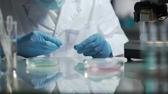 Laboratory Technician Examining Biochemical Reactions of New Universal Detergent