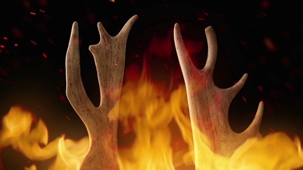 Antlers Rotating In Fire