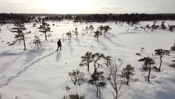 Aerial drone view of a man walking with snowshoes along a peaceful bog landscape in winter. Recorded