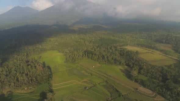 Farmlands and Village Bali, Indonesia