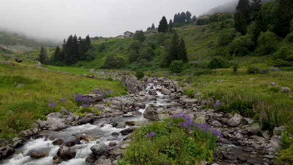 Mountain Village And Plateau